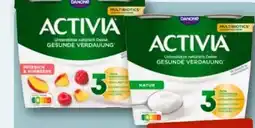 nahkauf Activia Joghurt Angebot