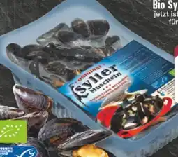 Edeka Bio Muscheln Angebot