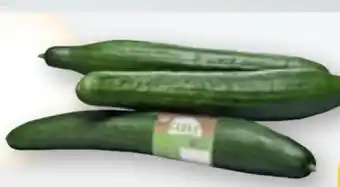 tegut Bio-Gurke Angebot