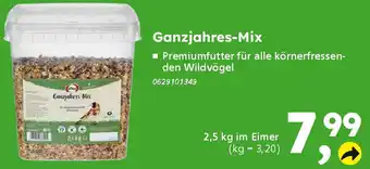 Globus Baumarkt Ganzjahres-Mix Angebot