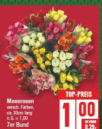 Edeka Moosrosen Angebot