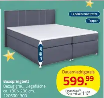 ROLLER Boxspringbett Angebot