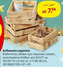 ROLLER Aufbewahrungskiste Angebot