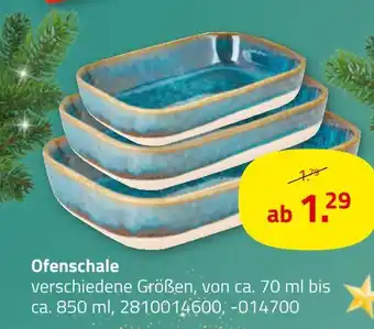 ROLLER Ofenschale Angebot