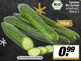 L. STROETMANN GROSSMARKT Spanien Bio Gurken Angebot