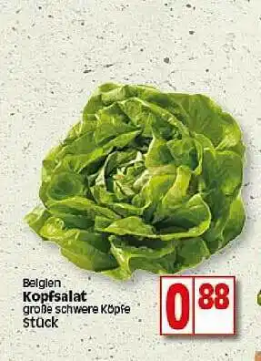 Elli Markt Belgien Kopfsalat Angebot