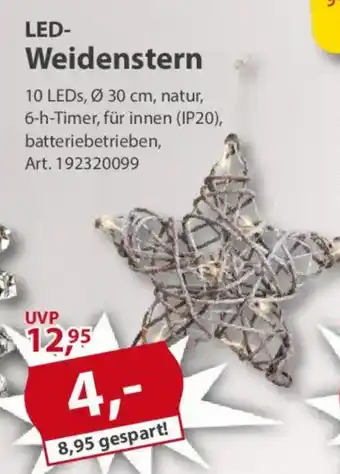 Sonderpreis Baumarkt LED- Weidenstern Angebot