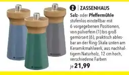 CITTI Markt ZASSENHAUS Salz- oder Pfeffermühle Angebot