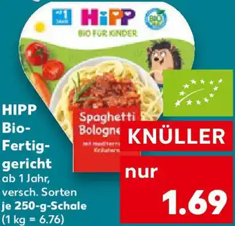 Kaufland HIPP Bio Fertiggericht Angebot