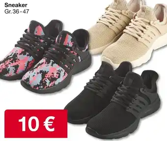 Woolworth Sneaker Angebot