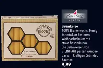 CITTI Markt Steinhart KERZEN Baumkerze Angebot