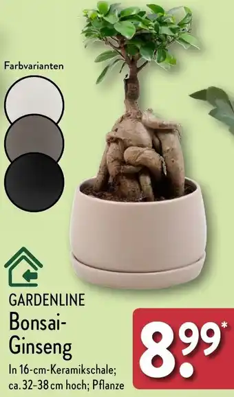 Aldi Nord GARDENLINE Bonsai Ginseng Angebot