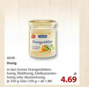 basic Hoyer Honig Angebot