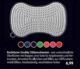 CITTI Markt Kochblume Scrubby Silikonschwamm Angebot