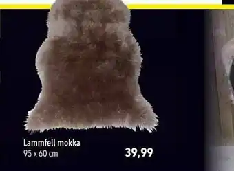 CITTI Markt Lammfell Mokka Angebot