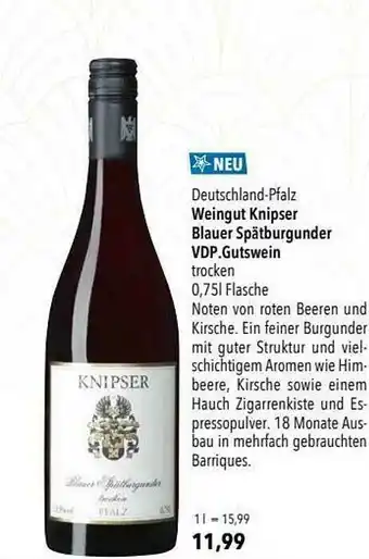 CITTI Markt Weingut Knisper Blauer Spätburgunder Vdp.gutswein Angebot