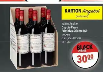 CITTI Markt Doppio Passo Primitivo Salento Igp Angebot