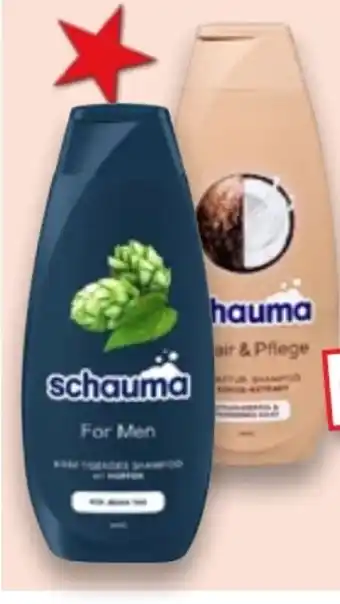 Kaufland Schauma Shampoo Angebot