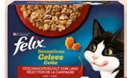 Kaufland Felix Sensations Angebot