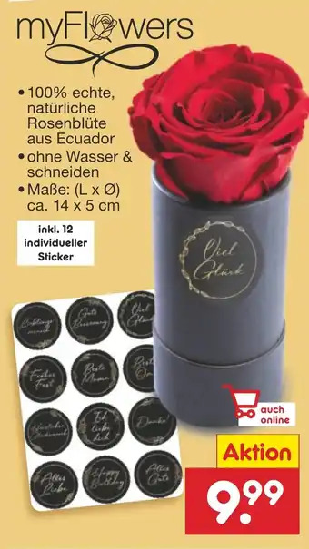 Netto Marken-Discount myFlowers DIE ECHTE ROSE, DIE BIS ZU 3 JAHRE STRAHLT Angebot