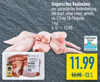 diska Ungarisches Kaninchen Angebot