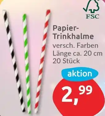 Budni Papier Trinkhalme Angebot