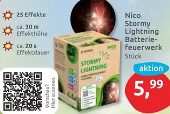 Budni Nico Stormy Lightning Batteriefeuerwerk Angebot