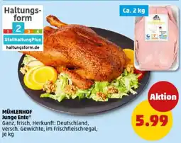 PENNY MÜHLENHOF Junge Ente Angebot