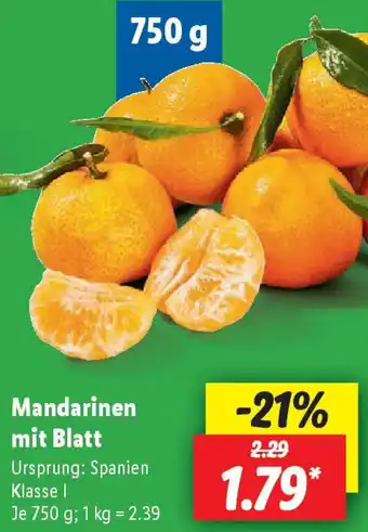 Lidl Mandarinen mit Blatt Angebot
