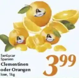 inkoop Sanlucar Spanien Clementinen oder Orangen Angebot