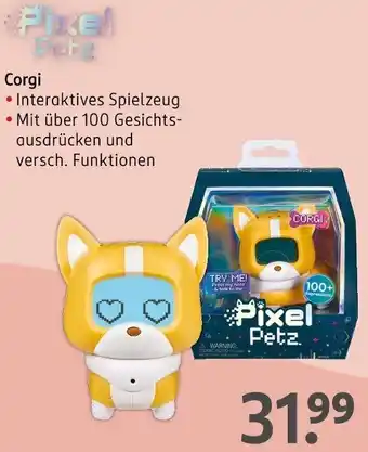 Rossmann Pixel Petz Corgi Angebot