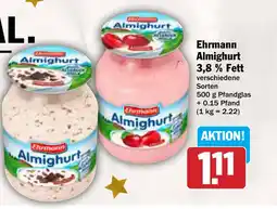 AEZ Ehrmann Almighurt 3,8% Fett Angebot