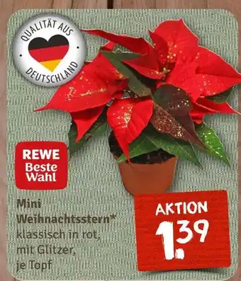 nahkauf Rewe beste wahl mini weihnachtsstern Angebot