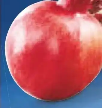 Netto Marken-Discount Granatapfel Angebot