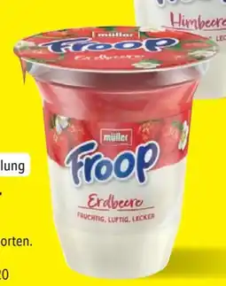 Lidl Froop Angebot