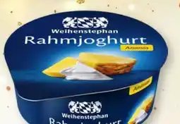 Scheck-in-Center Rahmjoghurt Angebot