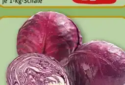 REWE Center Rotkohl Angebot