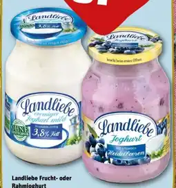 REWE Center Fruchtjoghurt Angebot