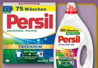 REWE Center Universal Pulver Angebot