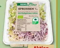 REWE Bio Sprossen Angebot