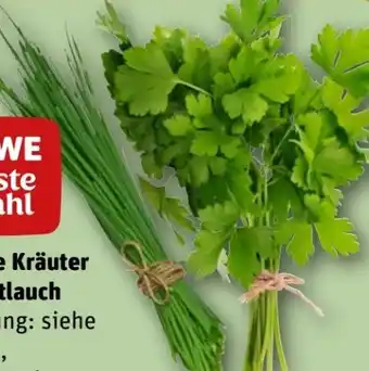 REWE Kräuter Schnittlauch Angebot