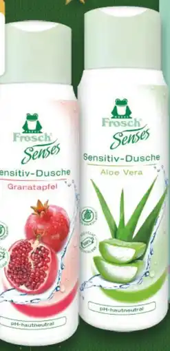 E-Center Senses Sensitiv-Dusche Angebot