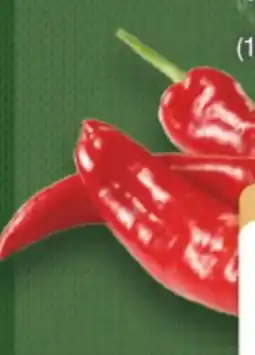 Edeka Bio-Spitzpaprika Rot Angebot