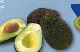 REWE Avocado Hass Angebot