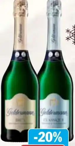 dodenhof Classique Sekt Angebot