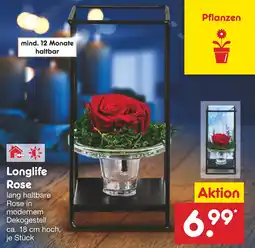 Netto Marken-Discount Longlife Rose Angebot