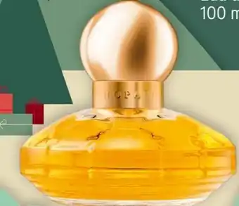 Rossmann Casmir EdP Angebot