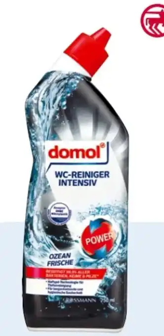 Rossmann WC-Reiniger Intensiv Angebot