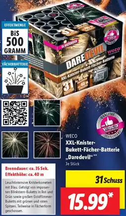 Lidl WECO XXL-Knister Bukett-Fächer-Batterie „Daredevil" Angebot