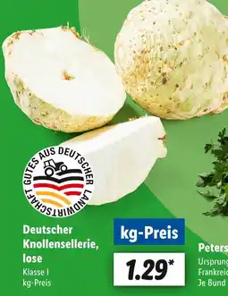 Lidl Knollensellerie, lose Angebot